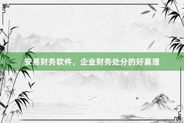 安易财务软件，企业财务处分的好襄理